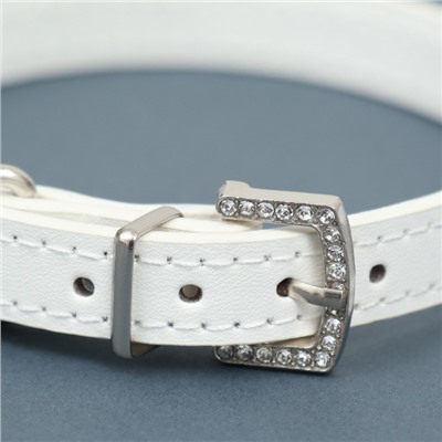 Ошейник со стразами в 4 ряда и стразы на пряжке, 38×1.5 см, ОШ 26-33, белый