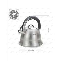 ZEIDAN Чайник Z-4453