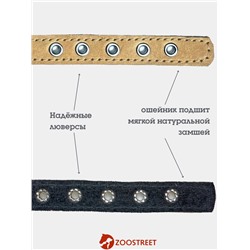 Ошейник, 35×1.5 см, с подкладом и светоотражающей лентой, кожа, бежевый