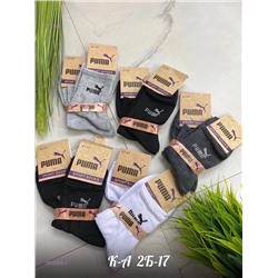 Носки мужские 10 пар 1903303-1