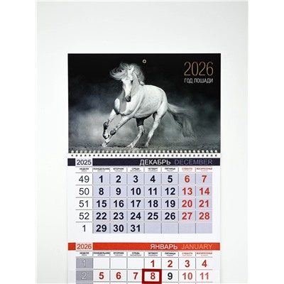 Календарь квартальный 2026 «Белый конь»