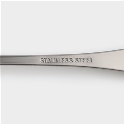 Набор чайных ложек Доляна «Капля», 15 см, 6 шт., нержавеющая сталь, серебристый