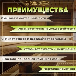 Соляной брикет набор 4 шт. «Апельсин, липа, сосна, ель« по 200 г »Добропаровъ»