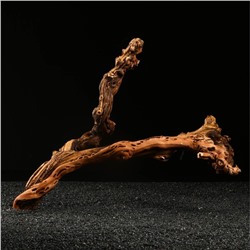 Коряга для аквариума «Лоза виноградная», 50 - 60 см