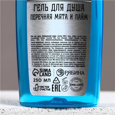 Подарочный набор «Настоящему мужику», гель для душа и шампунь для волос, 2×250 мл, Чистое счастье