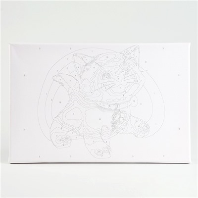 Картина по номерам на холсте с подрамником «Сиамский котёнок» 20×30 см