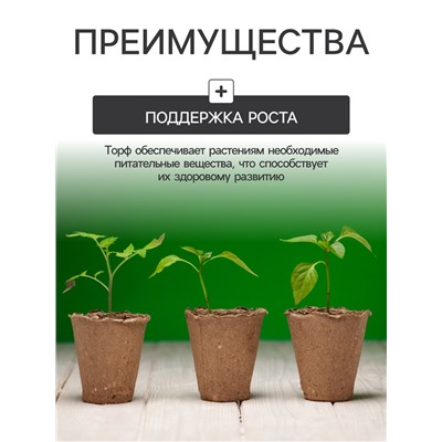 Набор для рассады: торфяной горшок 6 × 6 см, кассета на 40 ячеек, Greengo