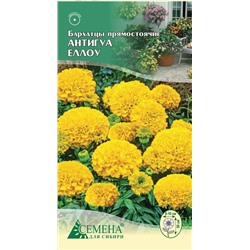 Бархатцы Антигуа Еллоу прямост, 5шт (цв)