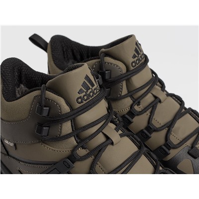 Зимние Ботинки Adidas Terrex Winter