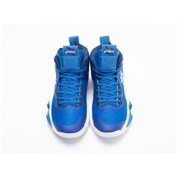 Кроссовки Asics Nova Surge 2
