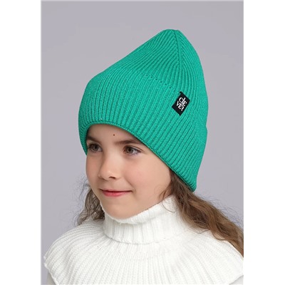 CLEVER Шапка 433869вн флис