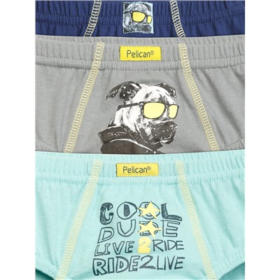 PELICAN Трусы BULB3222(3)