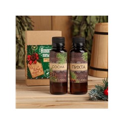 Новогодний набор ароматизаторов «Новогодняя посылочка», сосна, пихта, 2 шт. по 100 мл