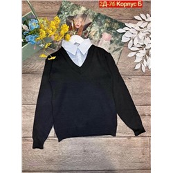 обманка 1979268-2