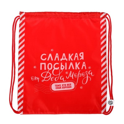 Мешок новогодний под сладости «Посылка от Деда Мороза» (полиэстер плотностью 210D) 29×34 см