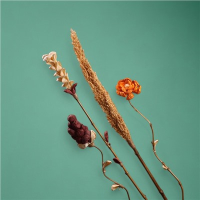 Сухоцвет «Пати», 180 см, натуральный