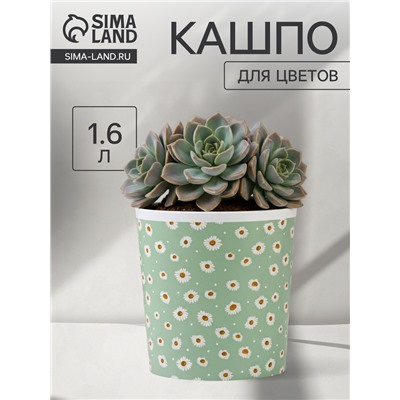 Кашпо для цветов «Ромашки», 1.6 л, d=14 см, h=14 см, пластиковое