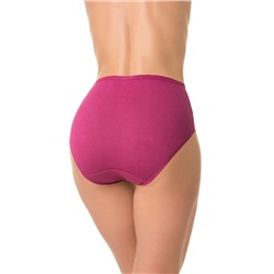 D_HW101_11 (Трусы женские макси, Dentelle )