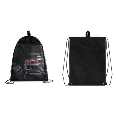 Сумка для сменной обуви 36х48 см "ТАЧКА" 69186 Феникс