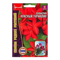 Семена цветов Плюмерия Красный Турмалин  3 шт. 12.2029 г.