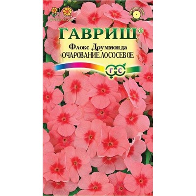Флокс друммонда Очарование ЛОСОСЕВО
