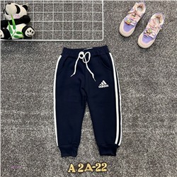 Штаны 1981377-1