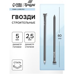 Гвозди ТУНДРА, строительные, ГОСТ 4028-63, без покрытия, 2.5×60 мм, фасовка 1 кг