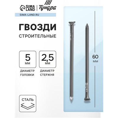Гвозди ТУНДРА, строительные, ГОСТ 4028-63, без покрытия, 2.5×60 мм, фасовка 1 кг