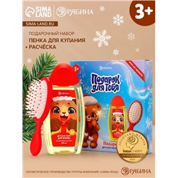 Подарочный набор новогодний «Подарок для тебя», пена для ванны 250 мл, расчёска