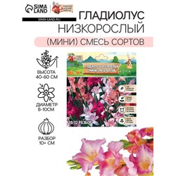 Гладиолус Низкорослый (мини) смесь сортов р-р 10/+ , 7 шт,