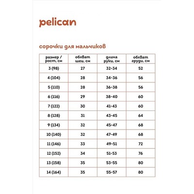 Рубашка PELICAN, 889917
