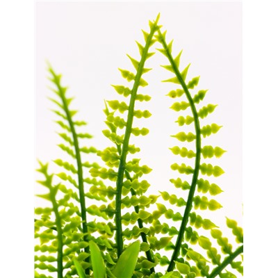 Растение искусственное аквариумное, на подставке под камень, 17×14×16 см