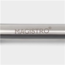 Рыбочистка Magistro Solid, нержавеющая сталь, хромированная