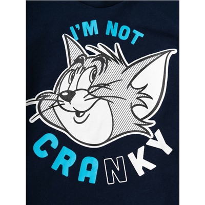 Комплект детский трикотажный для мальчиков: джемпер (футболка), шорты