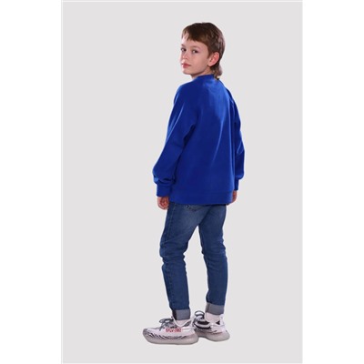 Брейн - толстовка василек