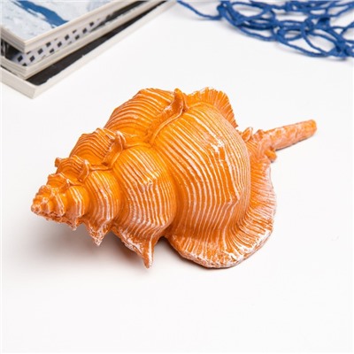 Фигурка полистоун «Ракушка», 23×11×10 см
