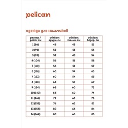 Ветровка PELICAN, 970749