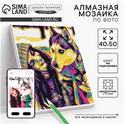 Алмазная мозаика по фото с полным заполнением «Pop Art», на холсте с подрамником, 40×50 см