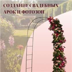Арка садовая, 240×125×36.5 см, для вьющихся растений, металлическая, бронзовая