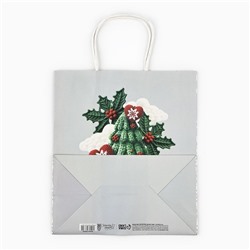 Пакет подарочный новогодний «Чудеса», белый крафт, 22×25×12 см