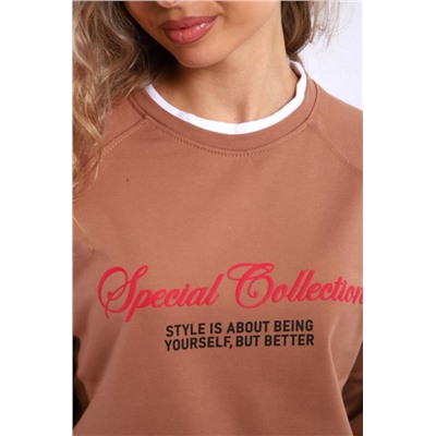 Толстовка спортивная с белым кантом (Коричневый)