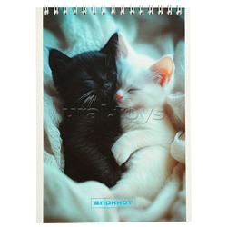 Блокнот 32л. А5 клетка "Два котенка" на гребне