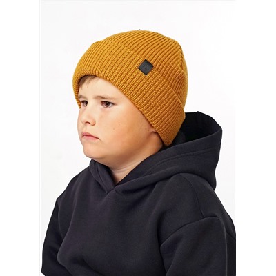 CLEVER Шапка 423559аш