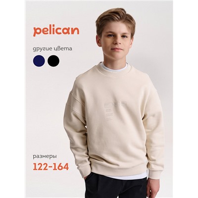 PELICAN Толстовка BFN7040U
