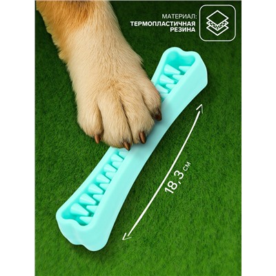 Игрушка-зубочистка для собак Пижон Premium «Зубастик», 18.3×3.8 см, цвет мятный