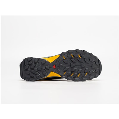 Кроссовки Salomon Wings Sky
