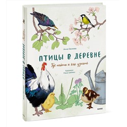 Эксмо Анна Евсеева, художник Маша Шебеко "Птицы в деревне. Где найти и как узнать"