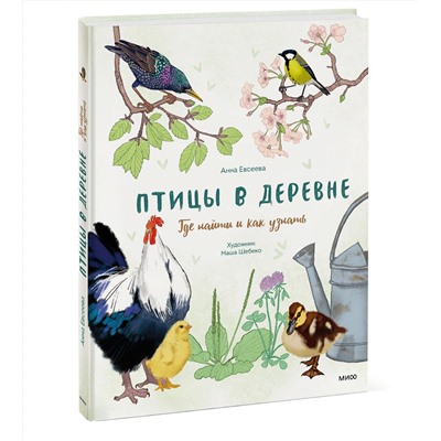 Эксмо Анна Евсеева, художник Маша Шебеко "Птицы в деревне. Где найти и как узнать"
