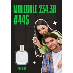 Молекула 234.38 / GET PARFUM 445