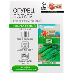 Семена Огурец «Зозуля», 0.15 г, «Рецепты дедушки Никиты»